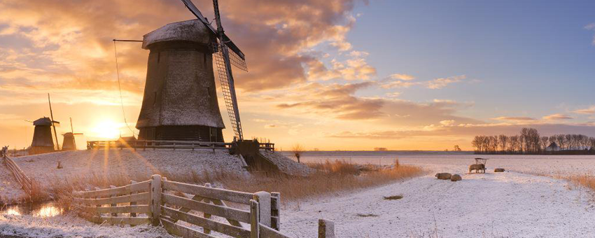 New Year Holland Rotterdam GO Experience touroperator Dutch Winter Landscape