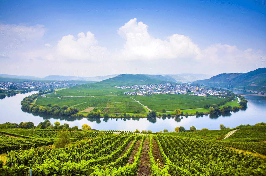 The Moselle Region